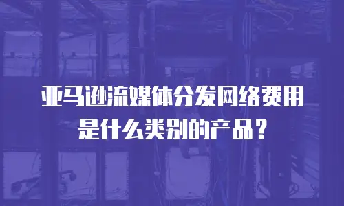 亚马逊流媒体分发网络费用是什么类别的产品？