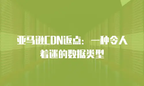 亚马逊CDN返点：一种令人着迷的数据类型