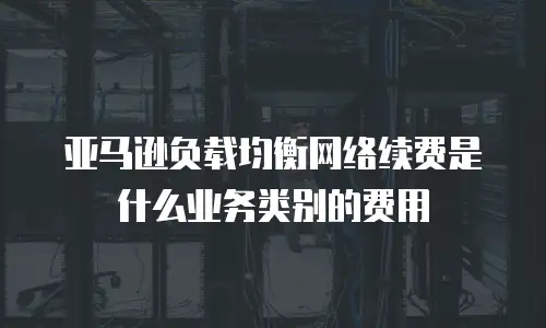 亚马逊负载均衡网络续费是什么业务类别的费用