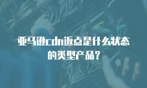 亚马逊cdn返点是什么状态的类型产品？