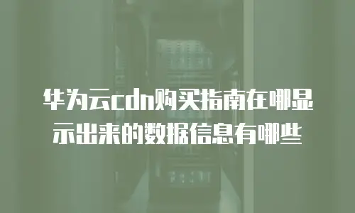华为云cdn购买指南在哪显示出来的数据信息有哪些