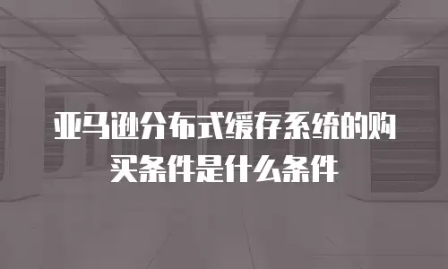 亚马逊分布式缓存系统的购买条件是什么条件