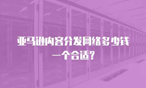 亚马逊内容分发网络多少钱一个合适？
