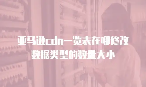 亚马逊cdn一览表在哪修改数据类型的数量大小