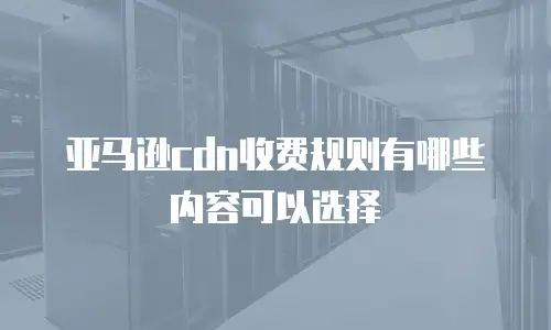 亚马逊cdn收费规则有哪些内容可以选择