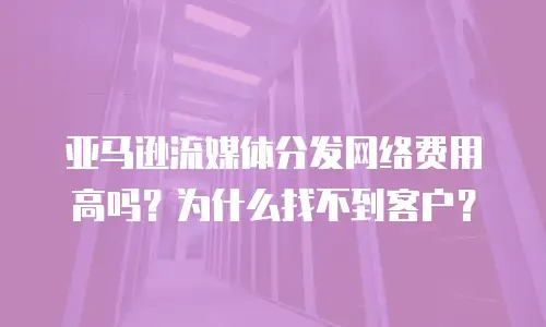 亚马逊流媒体分发网络费用高吗？为什么找不到客户？
