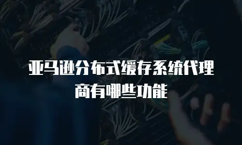 亚马逊分布式缓存系统代理商有哪些功能