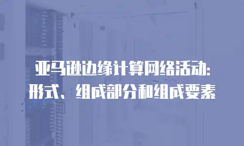 亚马逊边缘计算网络活动：形式、组成部分和组成要素