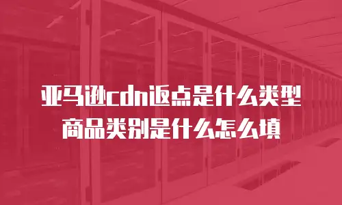 亚马逊cdn返点是什么类型商品类别是什么怎么填