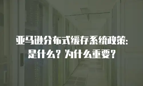 亚马逊分布式缓存系统政策：是什么？为什么重要？