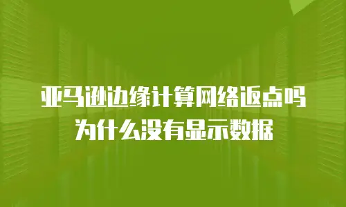 亚马逊边缘计算网络返点吗为什么没有显示数据