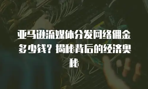 亚马逊流媒体分发网络佣金多少钱？揭秘背后的经济奥秘