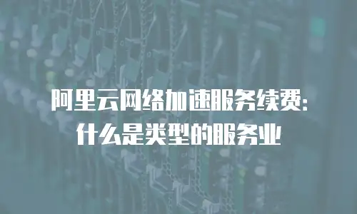 阿里云网络加速服务续费：什么是类型的服务业
