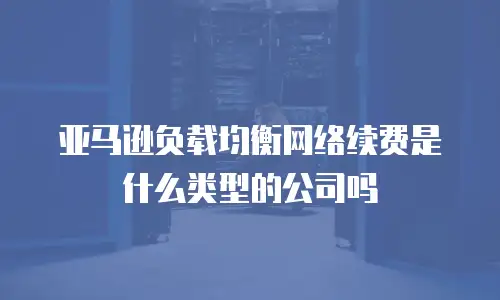 亚马逊负载均衡网络续费是什么类型的公司吗