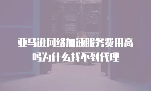 亚马逊网络加速服务费用高吗为什么找不到代理
