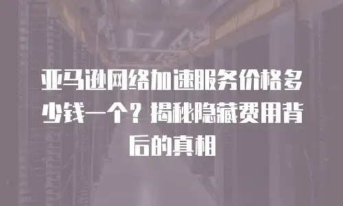 亚马逊网络加速服务价格多少钱一个？揭秘隐藏费用背后的真相
