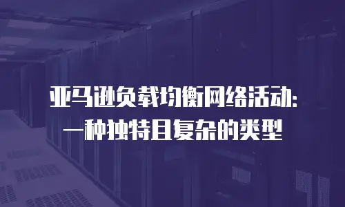 亚马逊负载均衡网络活动：一种独特且复杂的类型