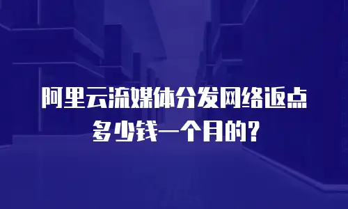 阿里云流媒体分发网络返点多少钱一个月的？