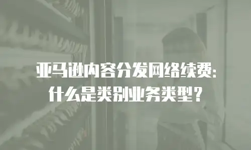 亚马逊内容分发网络续费：什么是类别业务类型？