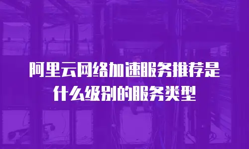 阿里云网络加速服务推荐是什么级别的服务类型
