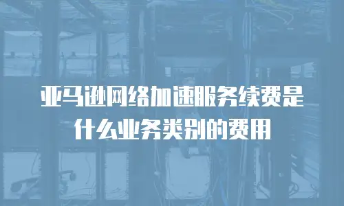 亚马逊网络加速服务续费是什么业务类别的费用