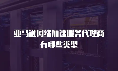 亚马逊网络加速服务代理商有哪些类型