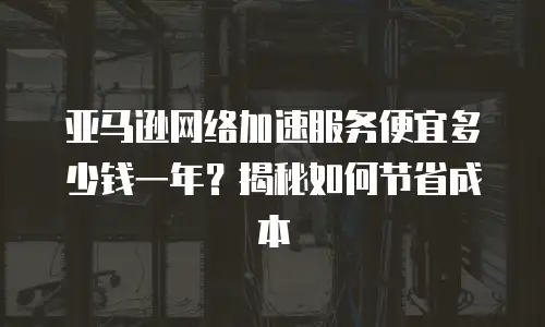 亚马逊网络加速服务便宜多少钱一年？揭秘如何节省成本
