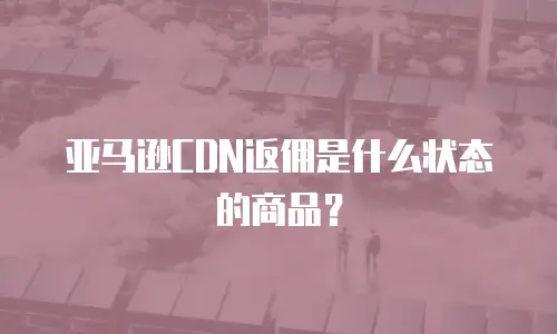 亚马逊CDN返佣是什么状态的商品？