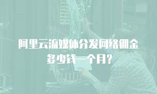 阿里云流媒体分发网络佣金多少钱一个月？