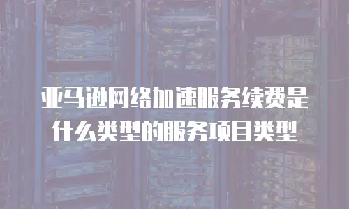 亚马逊网络加速服务续费是什么类型的服务项目类型