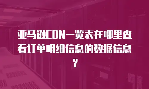 亚马逊CDN一览表在哪里查看订单明细信息的数据信息？