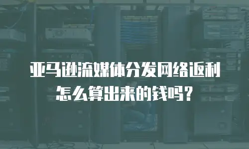亚马逊流媒体分发网络返利怎么算出来的钱吗？