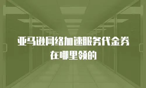 亚马逊网络加速服务代金券在哪里领的
