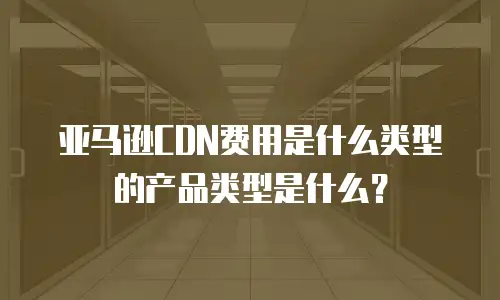 亚马逊CDN费用是什么类型的产品类型是什么？
