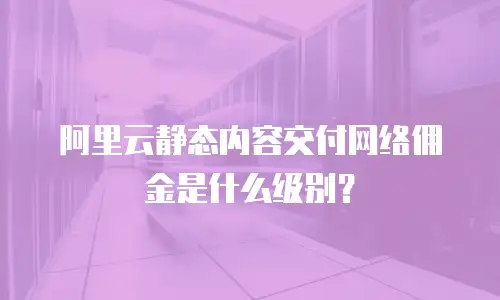 阿里云静态内容交付网络佣金是什么级别？