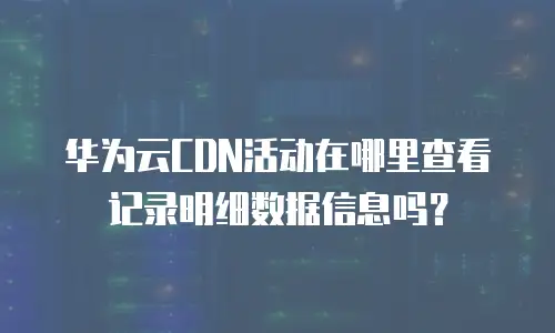 华为云CDN活动在哪里查看记录明细数据信息吗？