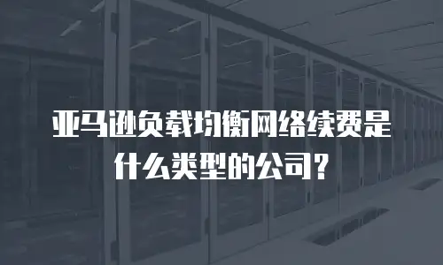 亚马逊负载均衡网络续费是什么类型的公司？