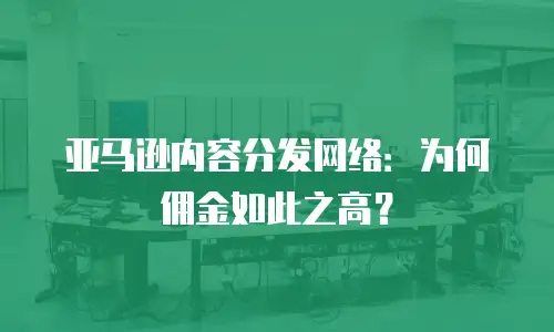 亚马逊内容分发网络：为何佣金如此之高？
