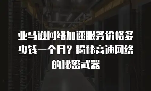 亚马逊网络加速服务价格多少钱一个月？揭秘高速网络的秘密武器