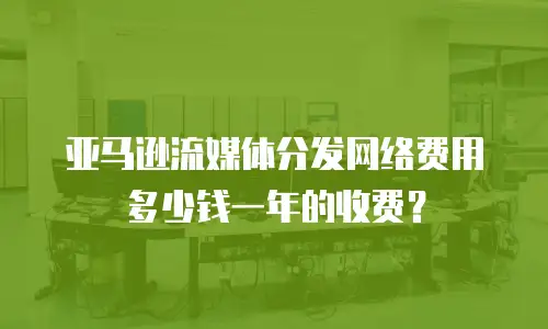 亚马逊流媒体分发网络费用多少钱一年的收费？