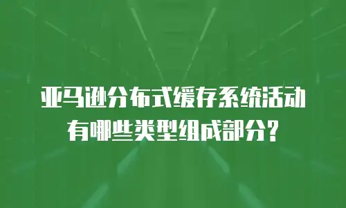 亚马逊分布式缓存系统活动有哪些类型组成部分?