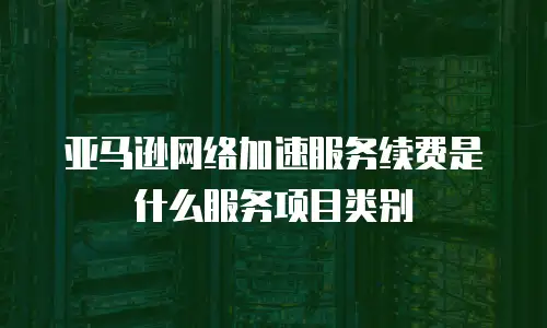 亚马逊网络加速服务续费是什么服务项目类别