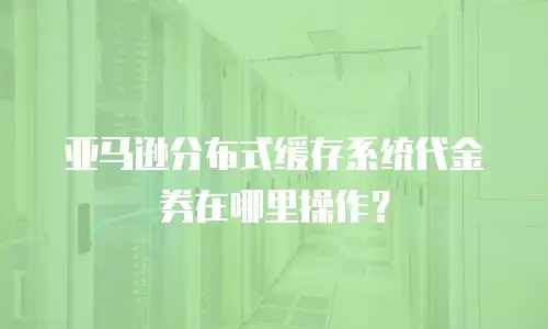 亚马逊分布式缓存系统代金券在哪里操作？