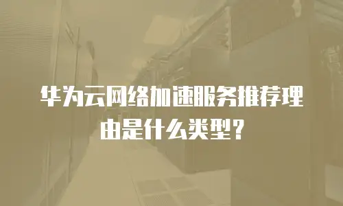 华为云网络加速服务推荐理由是什么类型？