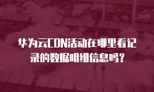 华为云CDN活动在哪里看记录的数据明细信息吗？