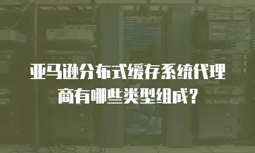 亚马逊分布式缓存系统代理商有哪些类型组成？
