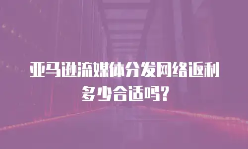 亚马逊流媒体分发网络返利多少合适吗？