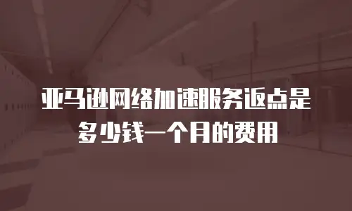 亚马逊网络加速服务返点是多少钱一个月的费用