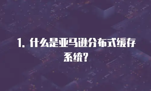 1. 什么是亚马逊分布式缓存系统？