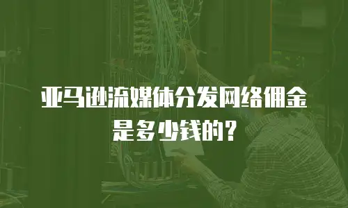 亚马逊流媒体分发网络佣金是多少钱的？